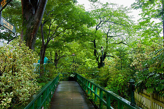 日本东京,三鹰市,吉卜力美术馆,绿意盎然的公园步道