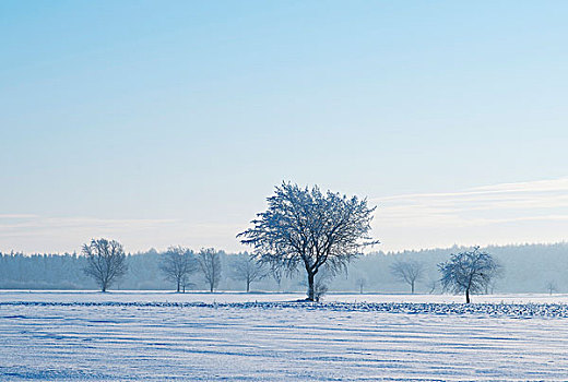冬季风景,下萨克森,德国,欧洲