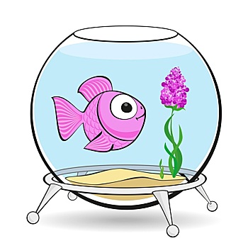 粉色,鱼,鱼缸