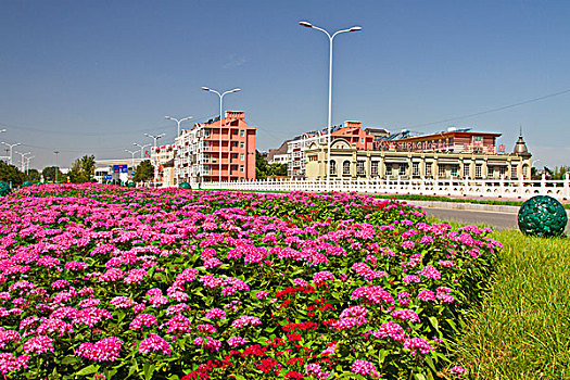 北戴河,村庄,建筑,交通,美化,园林,绿化,乡村,小镇,安静,夜景