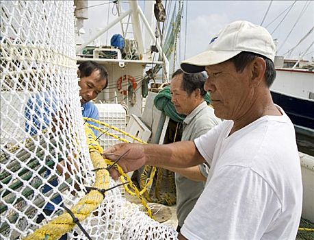 越南,虾,捕鱼者,修理,网,甲板,后湾,开着,季节,密西西比,美国
