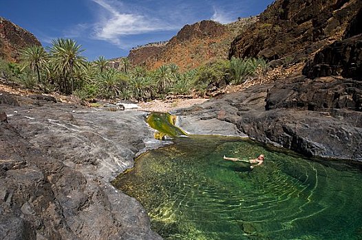 旱谷,绿洲,索科特拉岛,也门