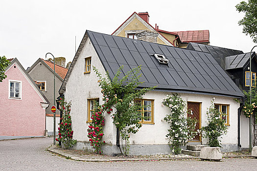 住宅,建筑,老城,维斯比,哥特兰岛,瑞典