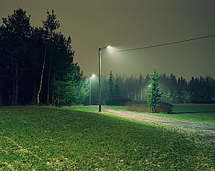 小路,夜晚,两个,街道,灯,绿色,冷杉,树,背景,芬兰