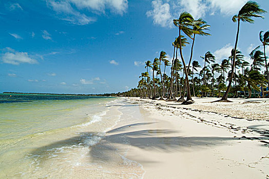 靠近,蓬塔卡纳,多米尼加共和国