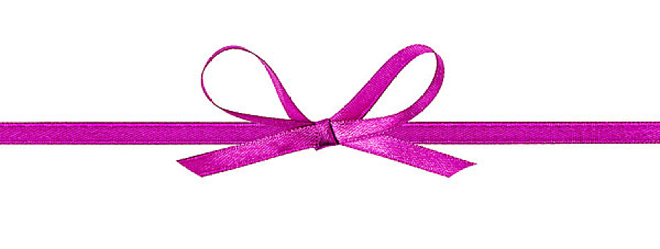 紫色,蝴蝶结,横图,丝带,隔绝,白色背景