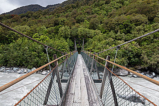 狭窄,吊桥,上方,狐狸,河,西海岸,区域,新西兰,大洋洲