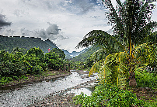 河,生动,山,背景,塔希提岛,法属玻利尼西亚