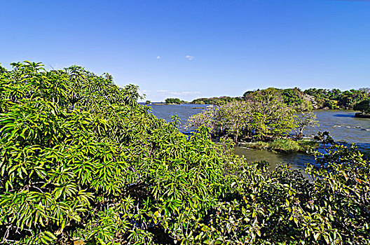 湖,尼加拉瓜,中美洲