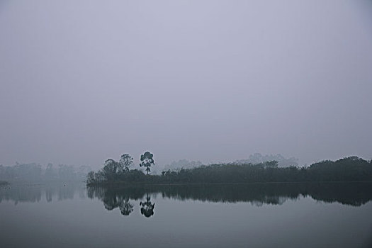 雾中湖泊