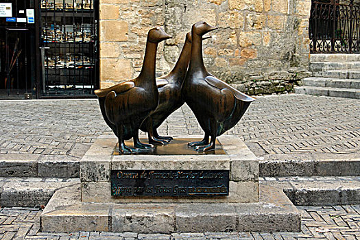 鹅,雕塑,萨尔拉,阿基坦,法国,欧洲