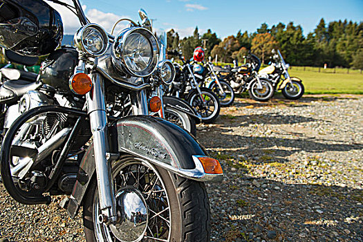 摩托车,头盔,停放,排列,南岛,新西兰