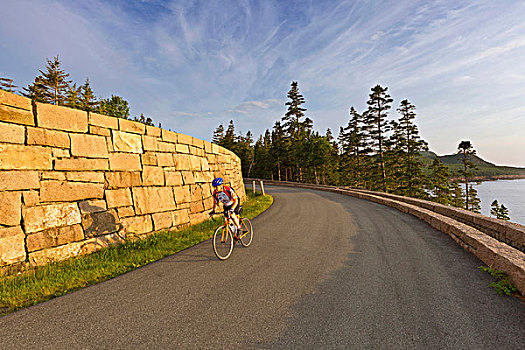 道路,骑自行车,阿卡迪亚国家公园,缅因,美国