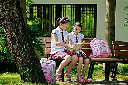 小学女生在户外看书