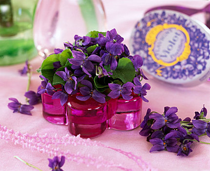 香堇菜,紫罗兰,烛台,花瓶