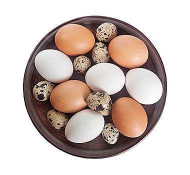 鹌鹑,鸡肉,蛋,粘土,盘子,隔绝,白色背景
