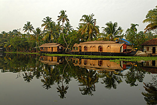 船屋,棕榈树,反射,死水,喀拉拉,印度,亚洲