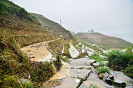 梯田