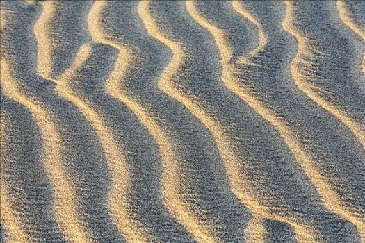 波纹,沙丘,大卡纳利岛,西班牙