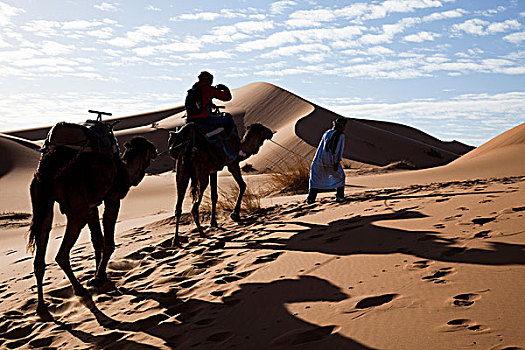 摩洛哥,荒漠沙丘,梅如卡