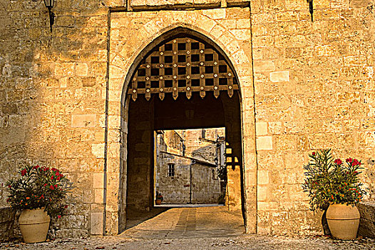 法国,大门,14世纪