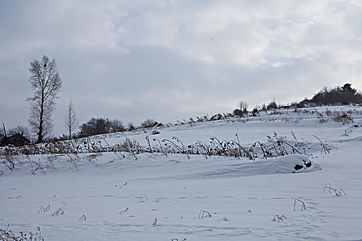 雪乡,雪村,吉林,临江市,村庄,山村,乡村,冬季,雪野,寒冷,农家,接待,旅游,松岭,东北,风情