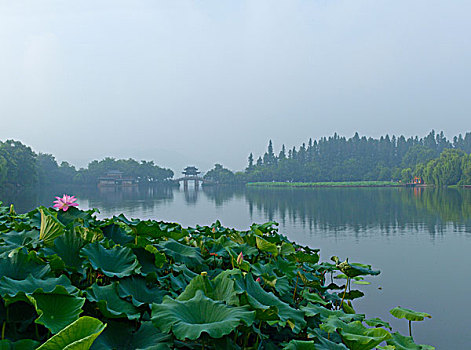 西湖十景,曲院风荷·玉带桥