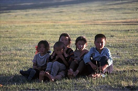 草地,蒙古,亚洲