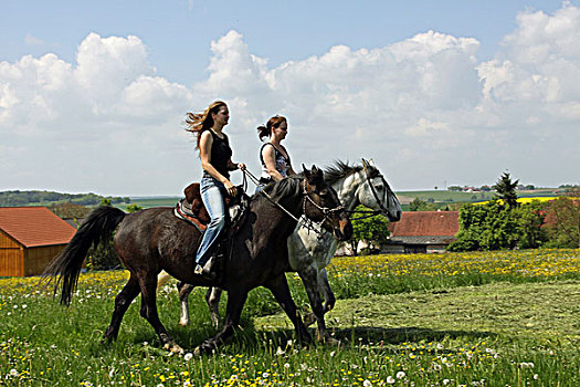 两个,女青年,骑,骑马,巴伐利亚,德国,欧洲