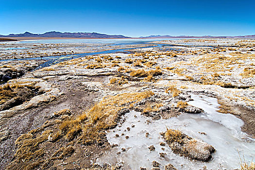 岸边,泻湖,涂层,盐,冰,乌尤尼盐沼,高原,玻利维亚,南美