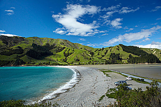 线缆,湾,岛屿,靠近,纳尔逊,南岛,新西兰