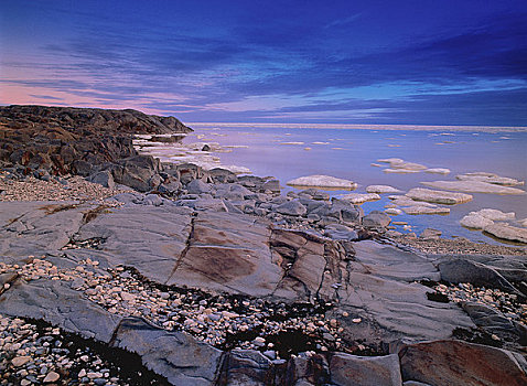 岩石,海岸线,黎明,鸟,小湾,湾,曼尼托巴,加拿大