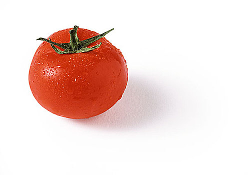西红柿,茎,遮盖,水滴,特写