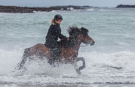 骑马,海岸,冰岛,冰岛马,骑乘,海滩,斯奈山半岛