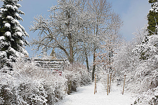 雪景