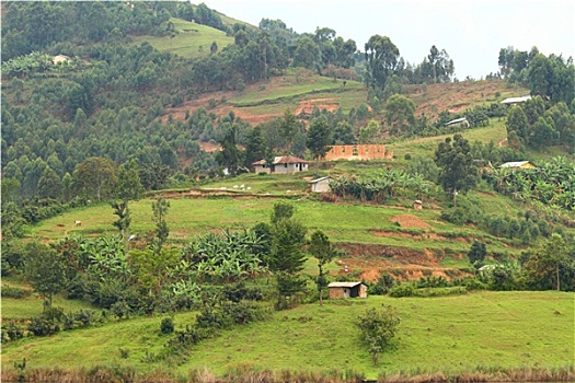 乡村,乌干达