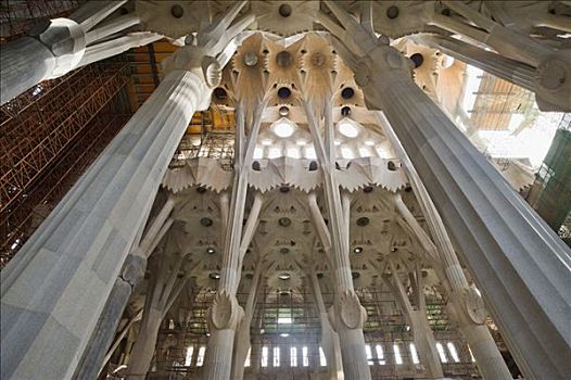柱子,拱顶,神圣家族教堂,世界遗产,巴塞罗那,加泰罗尼亚,西班牙,欧洲