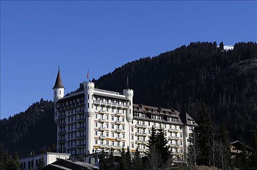 宫殿,酒店,西部,阿尔卑斯山,伯恩高地,瑞士,欧洲