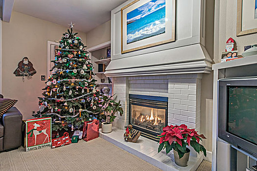 美国,贝尔维尤,礼物,圣诞树,大幅,尺寸