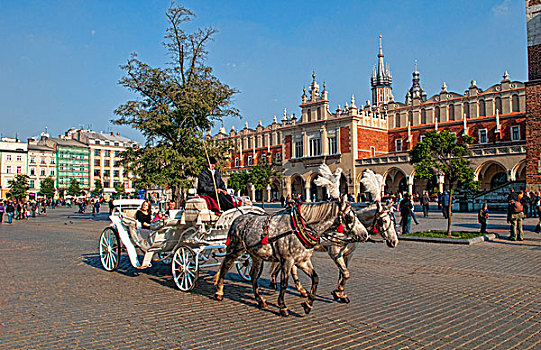 马车,乘,市场,克拉科夫,波兰