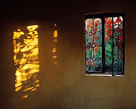 窗户,藤蔓植物,米斯郡,爱尔兰