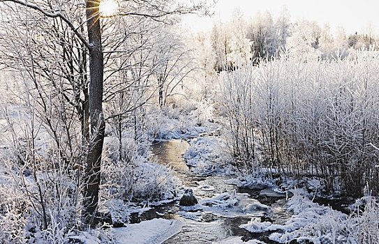 河流,冬天,達拉那,瑞典