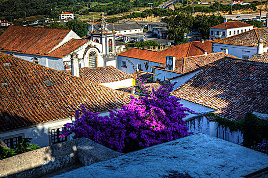 葡萄牙,奥比都斯,俯视图,城镇,红色,屋顶,特别,建筑