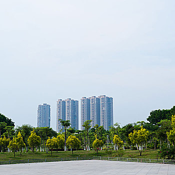 公园,现代建筑,城市
