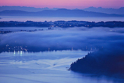 城镇,遮盖,雾,手臂,半岛,温哥华岛,不列颠哥伦比亚省,加拿大