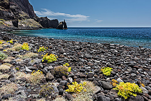 黑色,石头,海滩,干盐湖,黄色,植物,后面,岩石构造,湾,加纳利群岛,西班牙,欧洲