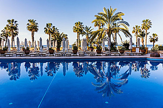 反射,游泳池,棕榈树,酒店,帕福斯,塞浦路斯
