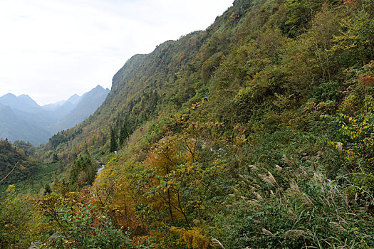 大山秋季风景