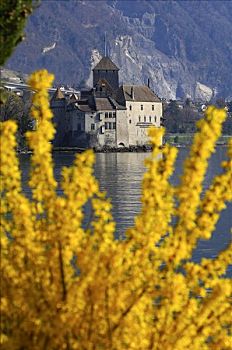 城堡,日内瓦湖,靠近,蒙特勒,沃州,瑞士