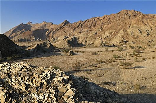 岩石,荒漠景观,哈迦,灰尘,山峦,沙尔基亚区,区域,阿曼苏丹国,阿拉伯,中东